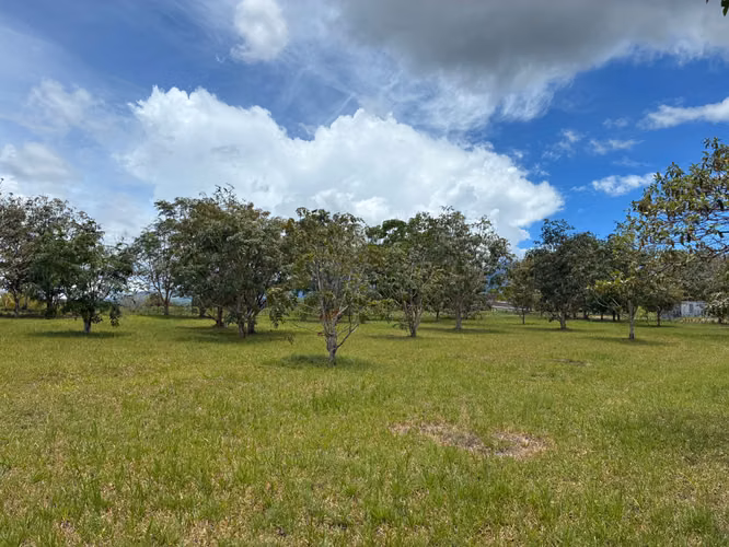 VENTA Boquete Land 4,000m² | Creek + Utilities | $165K - Imagen 11