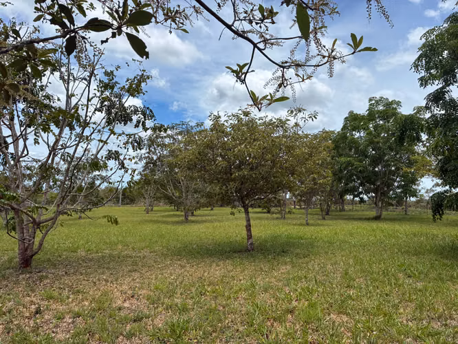 VENTA Boquete Land 4,000m² | Creek + Utilities | $165K