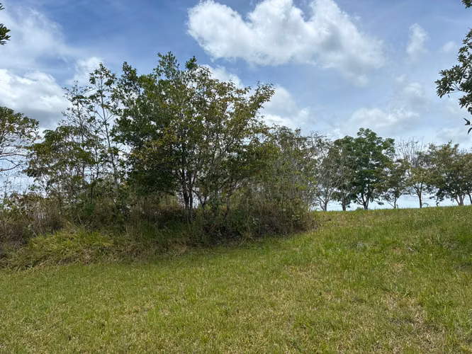 VENTA Boquete Land 4,000m² | Creek + Utilities | $165K - Imagen 8