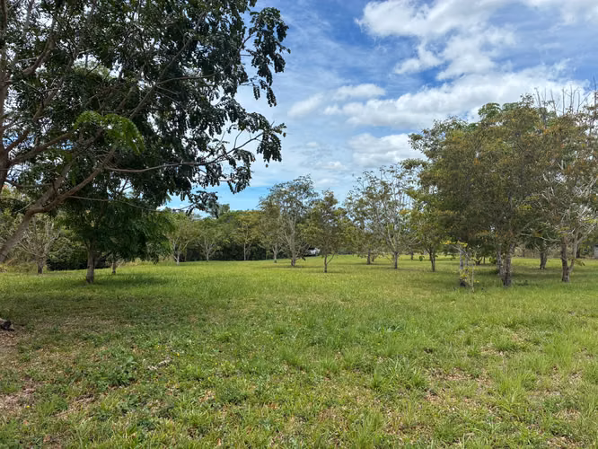 VENTA Boquete Land 4,000m² | Creek + Utilities | $165K - Imagen 6