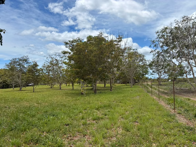 VENTA Boquete Land 4,000m² | Creek + Utilities | $165K - Imagen 10