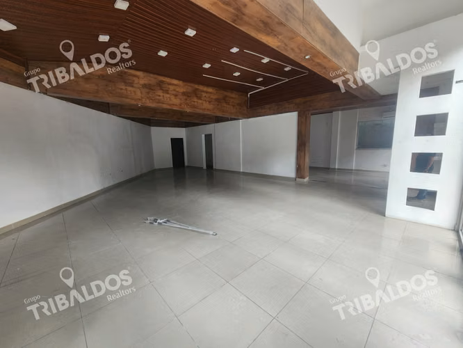 Alquiler de Local Comercial para Showrooms - Imagen 2