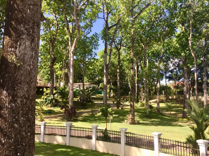 Terreno En Venta En Clayton SYH