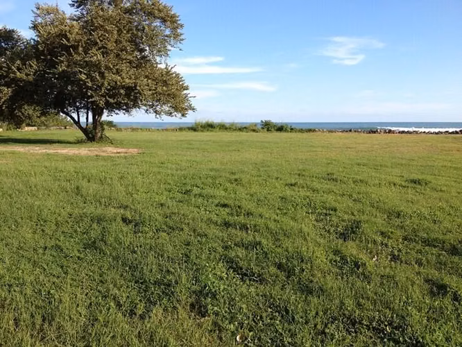Terreno en Venta en San Carlos CIG263711
