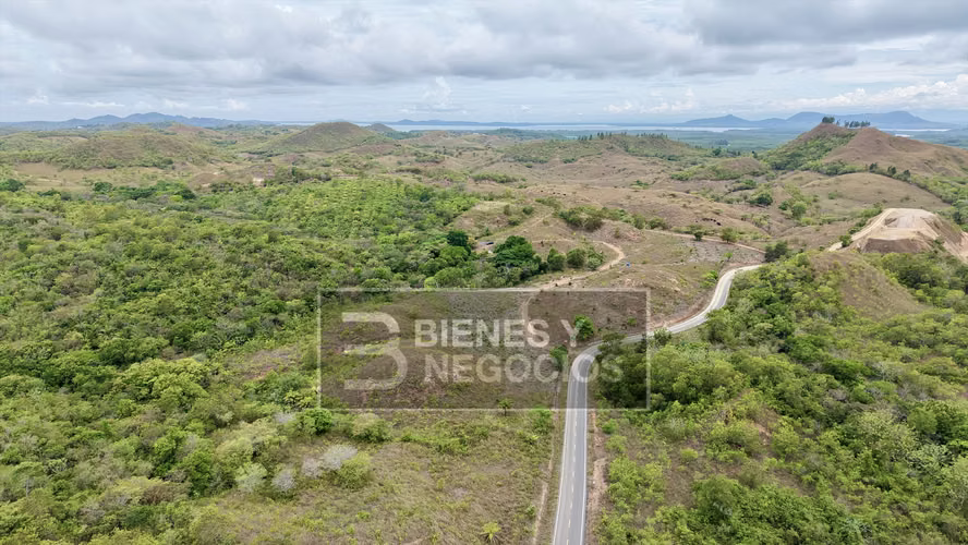Finca en Chiriqui,15 hectáreas en Playa Hermosa