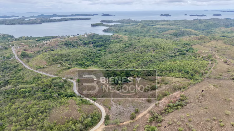 Farm in Chiriquí, 37 acres in Horconcitos Playa Hermosa