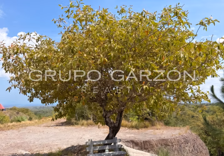 Venta de terreno con mirador en La Ermita (9579 m²) - Imagen 5