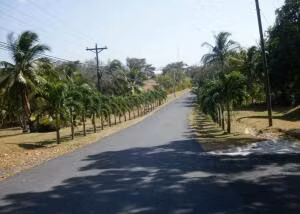 Venta Terreno con 2405m2 en San Carlos 26-7446SR
