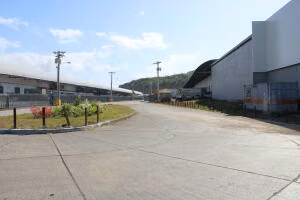 Galera en Venta en Milla 8 26jack7418