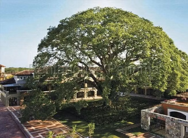 APARTMENT FOR SALE IN BUENAVENTURA MCD25-6321