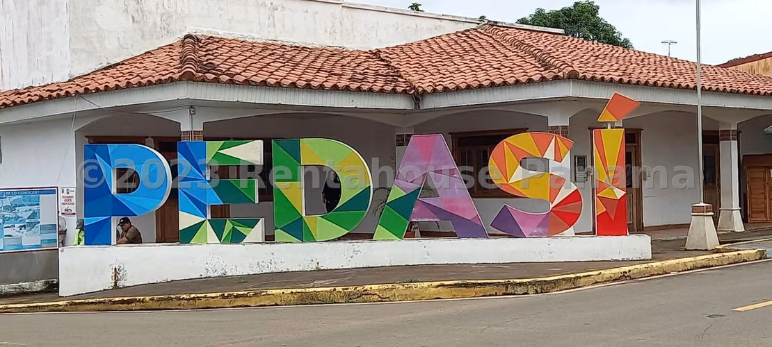 Lote en venta en Pedasi 1322 m2 24YCG9895