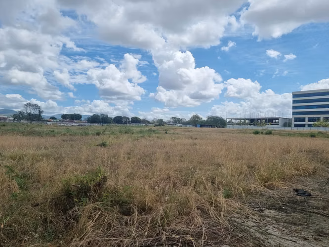 Alquiler de Terrenos en Tocumen, 10,000m²