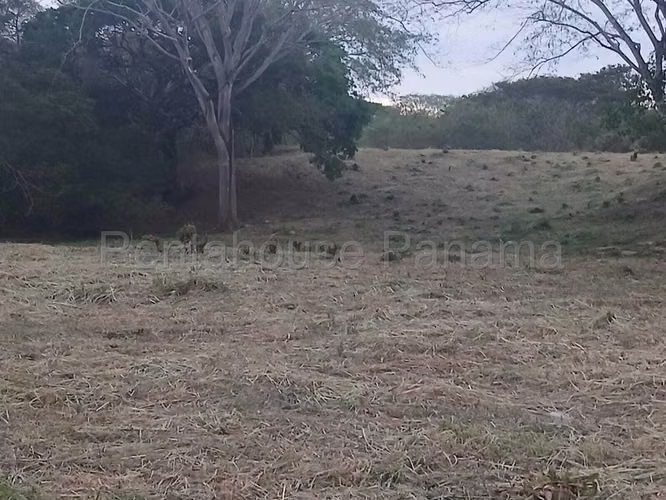 Venta de Terreno en La Arena BDP