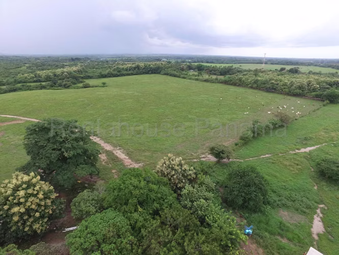Venta de Terreno en Juan Díaz BDP