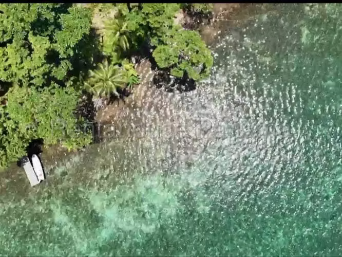 Venta de Terreno en Bocas del Toro Punta Laurel CCO 26-3551