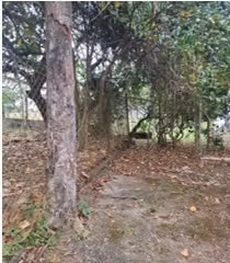 VENDO TERRENO EN SANTIAGO DE VERAGUAS