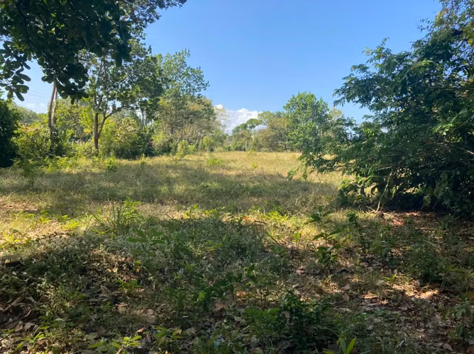 FINCA DE 18 HAS EN VENTA LOS CERRITOS CHAME EXCELENTE UBICACIÓN (CAMRO)