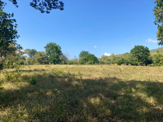 FINCA DE 18 HAS EN VENTA LOS CERRITOS CHAME EXCELENTE UBICACIÓN (CAMRO)