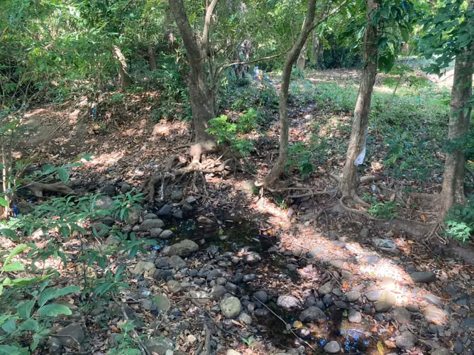 FINCA DE 18 HAS EN VENTA LOS CERRITOS CHAME EXCELENTE UBICACIÓN (CAMRO)