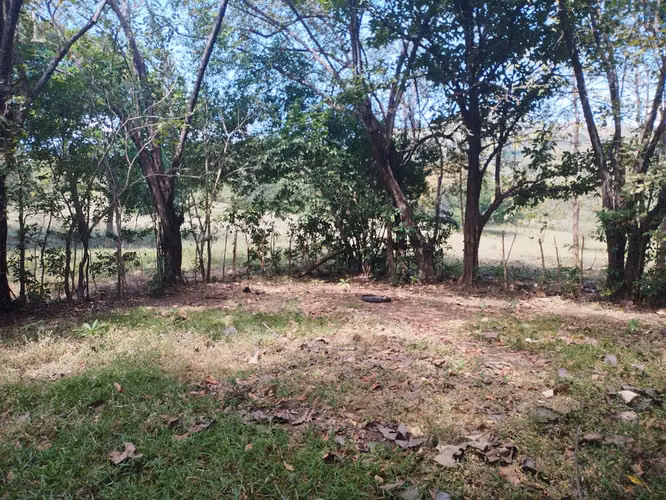 FINCA DE 18 HAS EN VENTA LOS CERRITOS CHAME EXCELENTE UBICACIÓN (CAMRO)