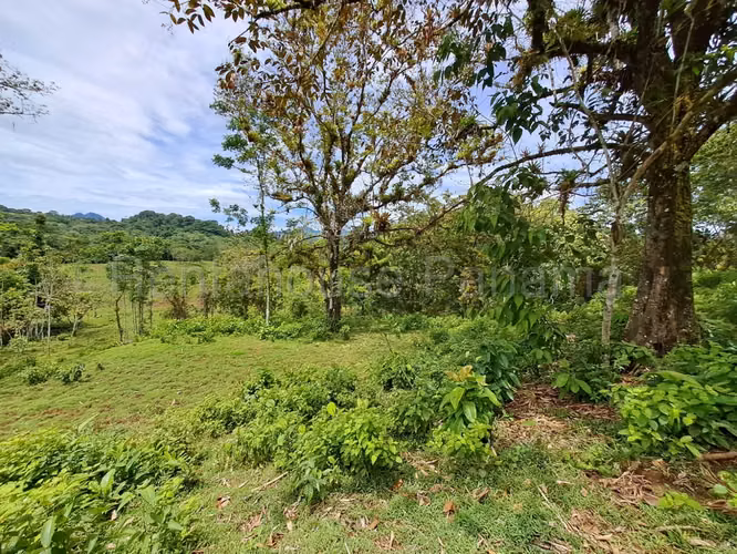 VENTA DE TERRENO EN COCLE MCD25-8652