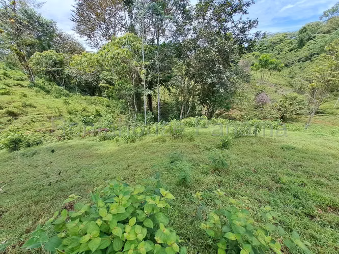 VENTA DE TERRENO EN COCLE MCD25-8652