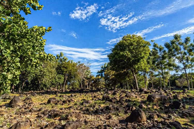 Terreno de Inversión en Potrerillos, Panamá