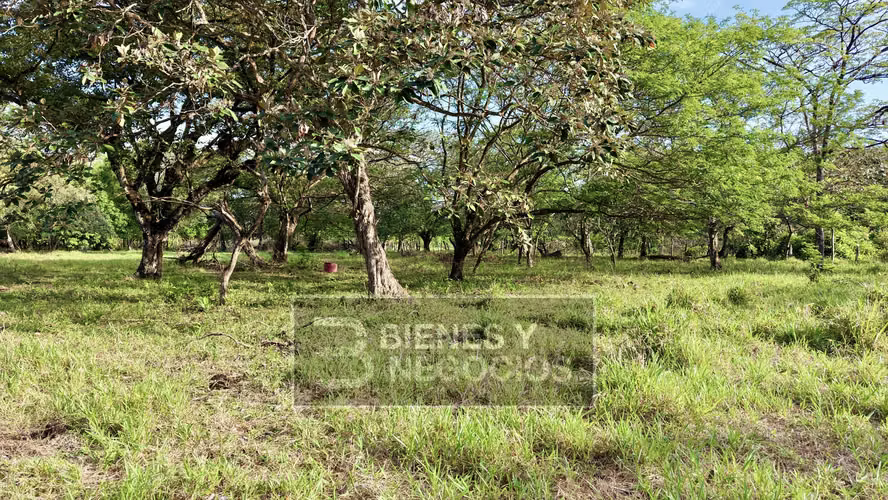 Terreno en Chiriqui, David, 1.9 Hectareas en Bijagual