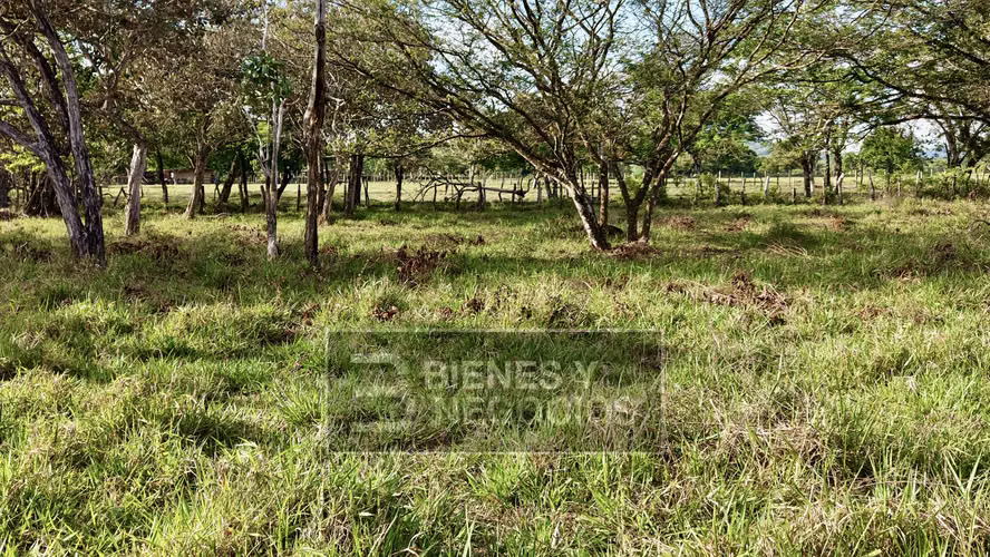 Terreno en Chiriqui, David, 1.9 Hectareas en Bijagual