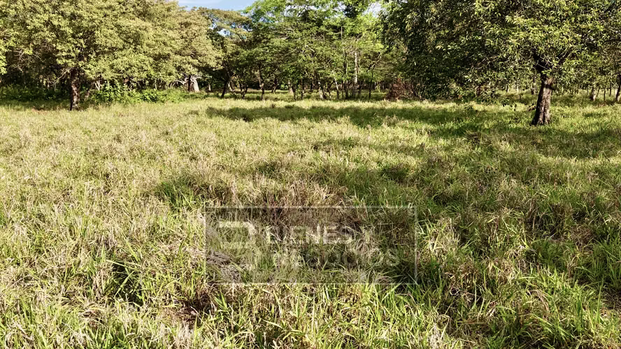 Terreno en Chiriqui, David, 1.9 Hectareas en Bijagual