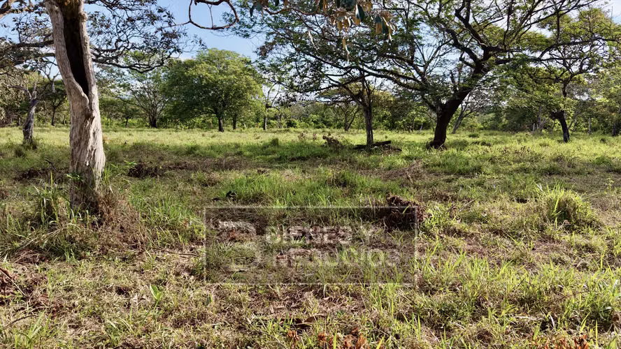 Terreno en Chiriqui, David, 1.9 Hectareas en Bijagual