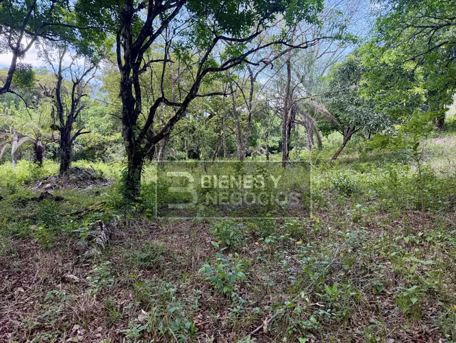 Terreno en Chiriqui, Caldera, 2.1 Hectáreas en Paja de Sombrero - Imagen 4