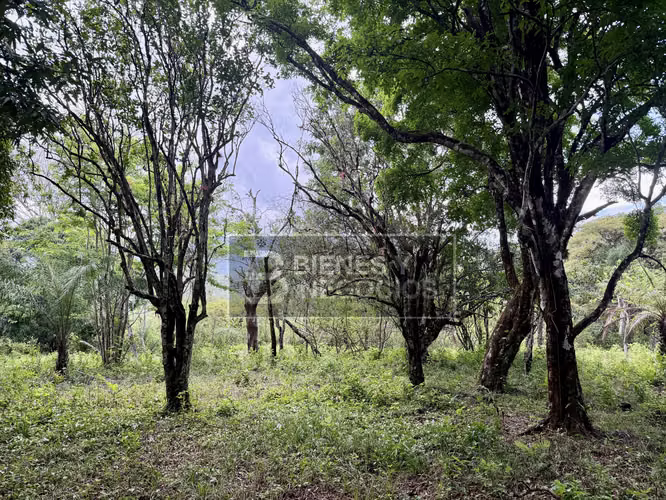 Terreno en Chiriqui, Caldera, 2.1 Hectáreas en Paja de Sombrero - Imagen 5