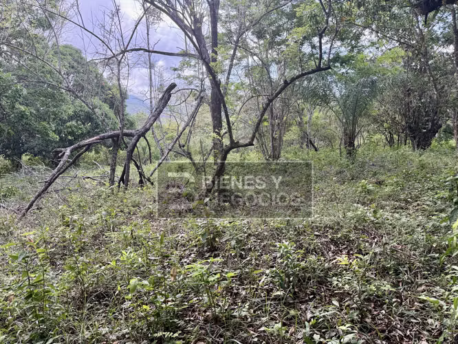 Terreno en Chiriqui, Caldera, 2.1 Hectáreas en Paja de Sombrero - Imagen 3