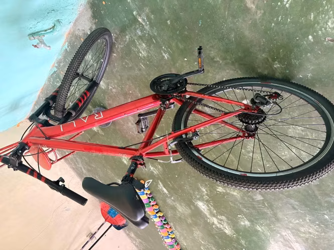 Bicicletas y porta bicicletas