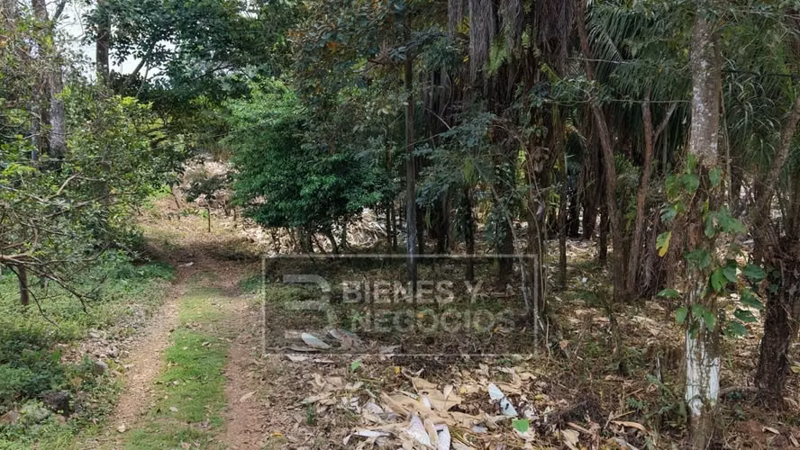 Terreno en Chiriqui, 1 hectárea, Bugaba, en Aserrio de Gariche