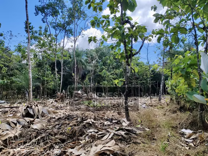 Terreno en Chiriqui, 1 hectárea, Bugaba, en Aserrio de Gariche