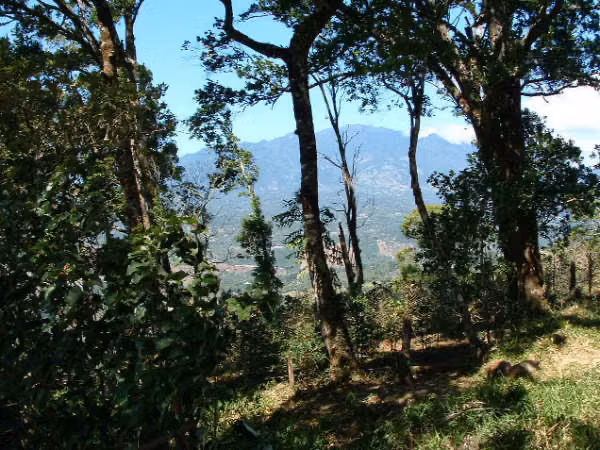 Se vende hermosa finca 25 hectáreas en Jaramillo 8.80mt2 - Imagen 3