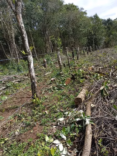 Se vende hermosa finca 25 hectáreas en Jaramillo 8.80mt2 - Imagen 15