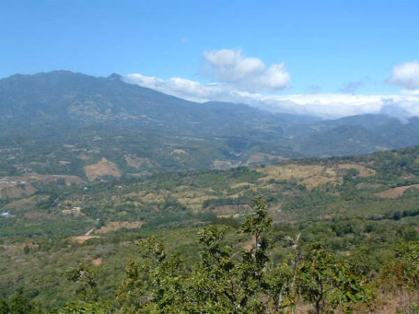 Se vende hermosa finca 25 hectáreas en Jaramillo 8.80mt2 - Imagen 5