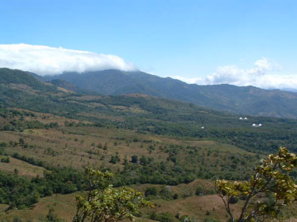 Se vende hermosa finca 25 hectáreas en Jaramillo 8.80mt2 - Imagen 4