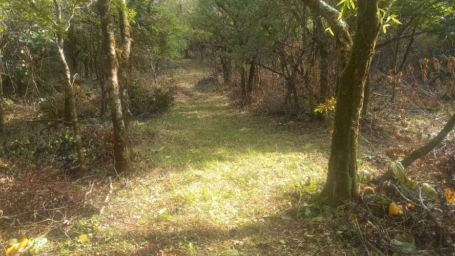 Se vende hermosa finca 25 hectáreas en Jaramillo 8.80mt2 - Imagen 17