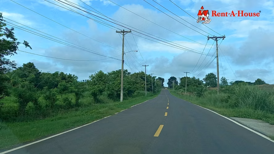 Lote de 25 HA en Pacora 24YCG5570 - Imagen 4