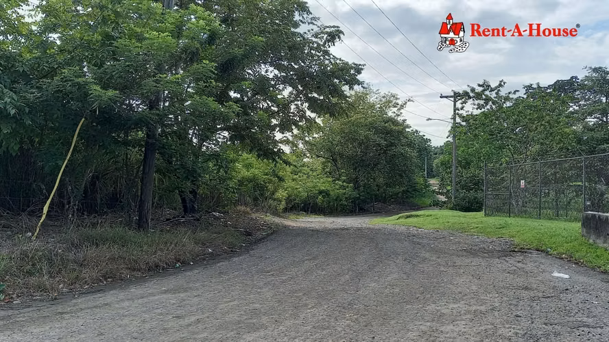 Lote de 25 HA en Pacora 24YCG5570 - Imagen 7