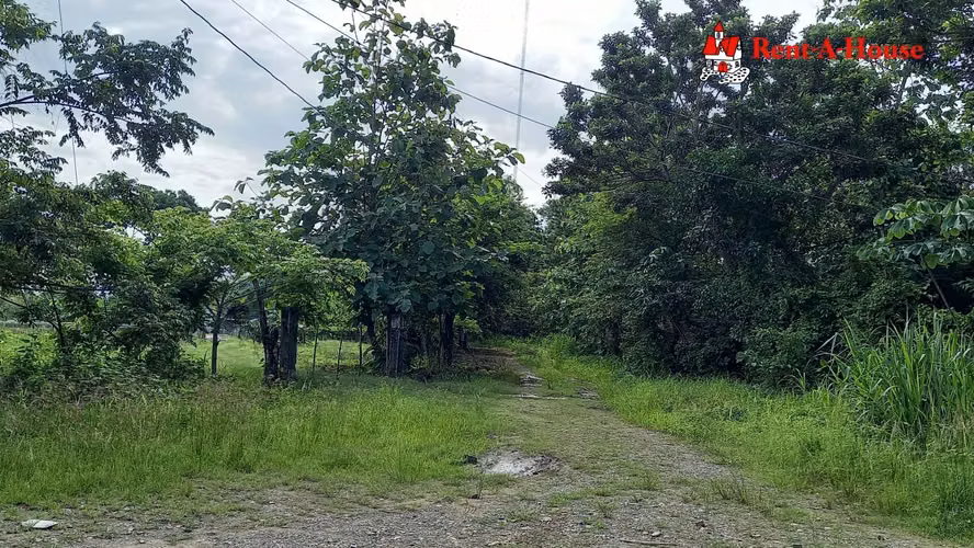 Lote de 25 HA en Pacora 24YCG5570 - Imagen 9