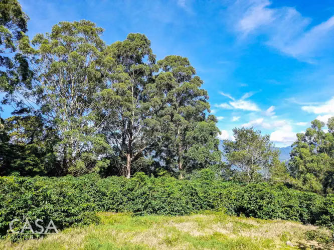 Lote Premium Para Construcción En Las Terrazas, Boquete