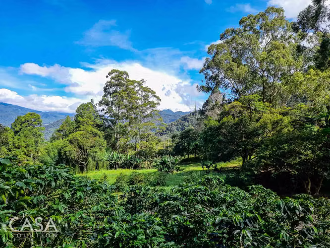 Lote Premium Para Construcción En Las Terrazas, Boquete