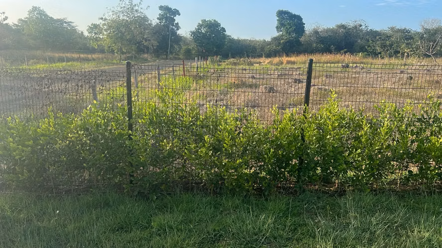 SE VENDEN LOTES económicos cerca de playa EN LAS TABLAS  en LOS CERRITOS HEIGHT