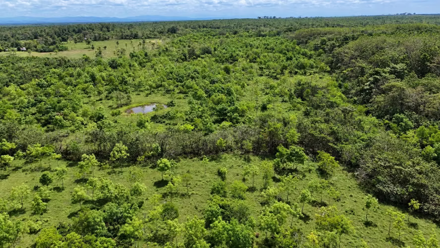 Se vende: 27,10 ha – segregaciones posibles – $6,000/ha – negociables – Santa Fé, Darién - Imagen 6