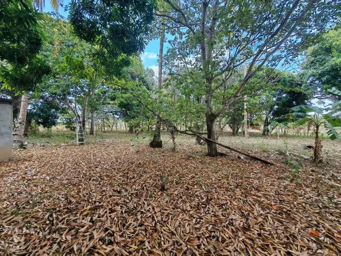 VENTA TERRENO PLANO EN VIA A VALLE DE ANTON 5.5 HECTAREAS CP